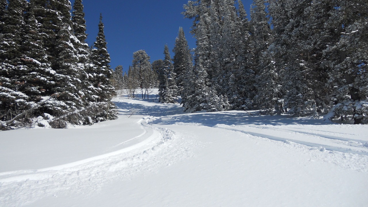 Photo of Others in Powder Ridge Village