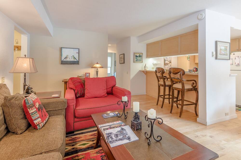 Photo of Livingroom in Ketchum