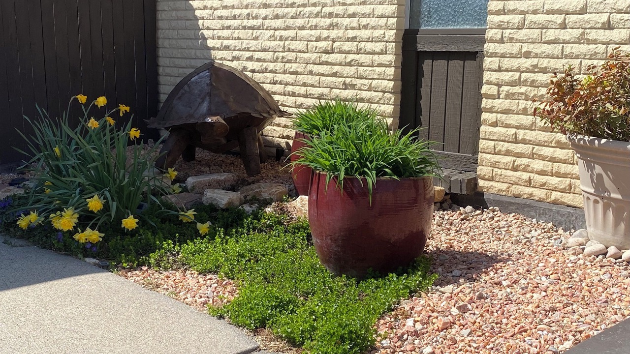 Photo of Outdoor in Holladay