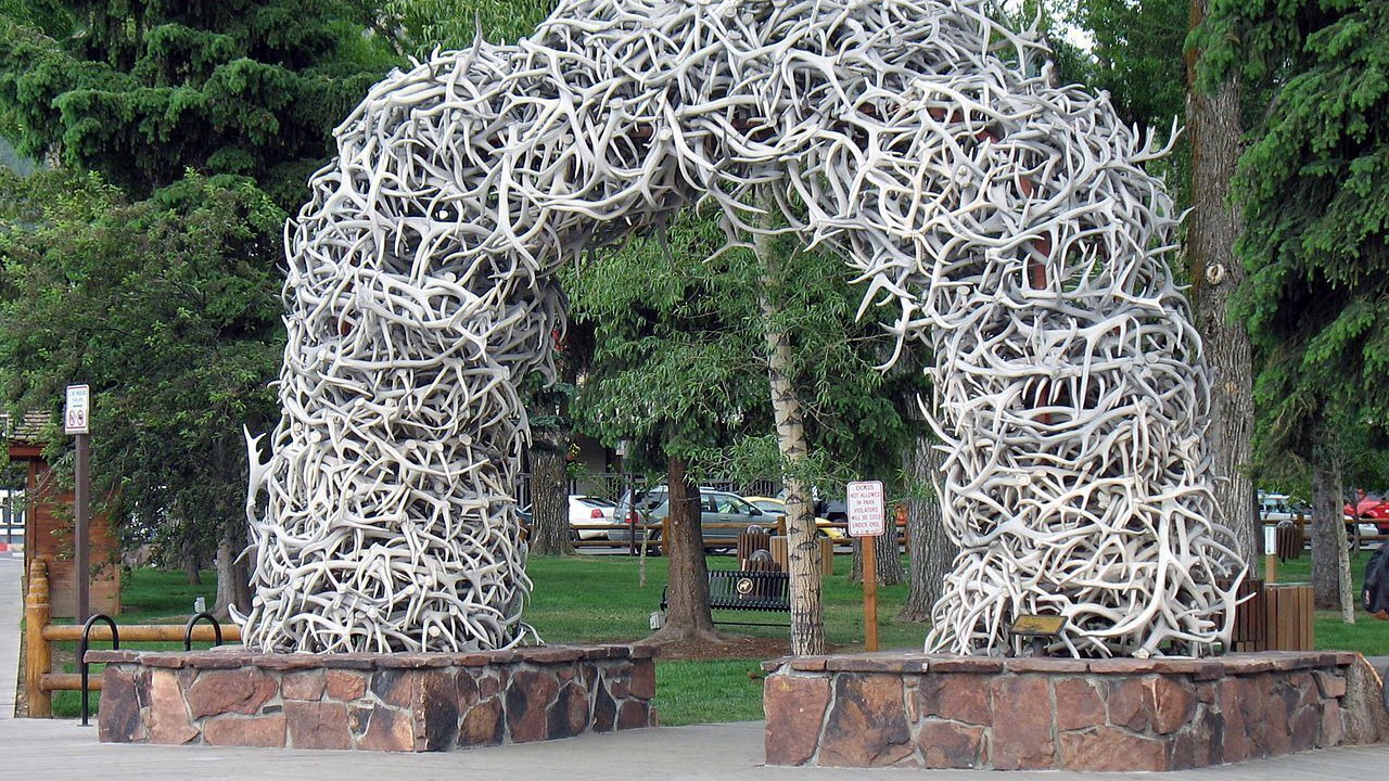 Photo of Others in Jackson