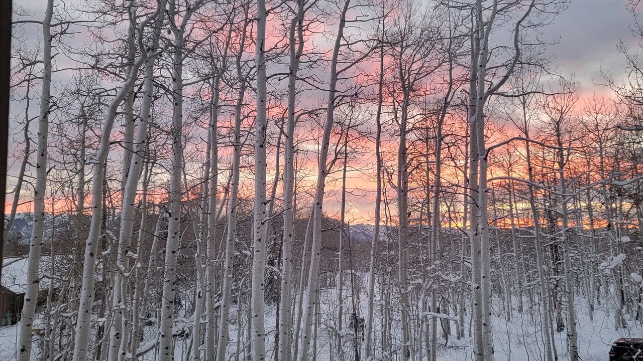Photo of Outdoor in Tollgate Canyon