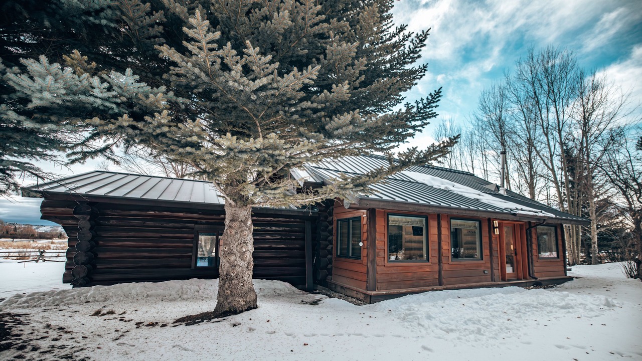 Photo of Outdoor in Wilson