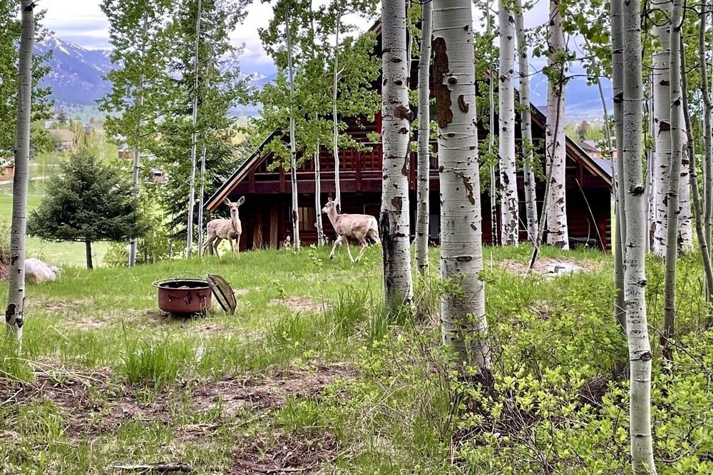 Photo of Outdoor in Star Valley Ranch