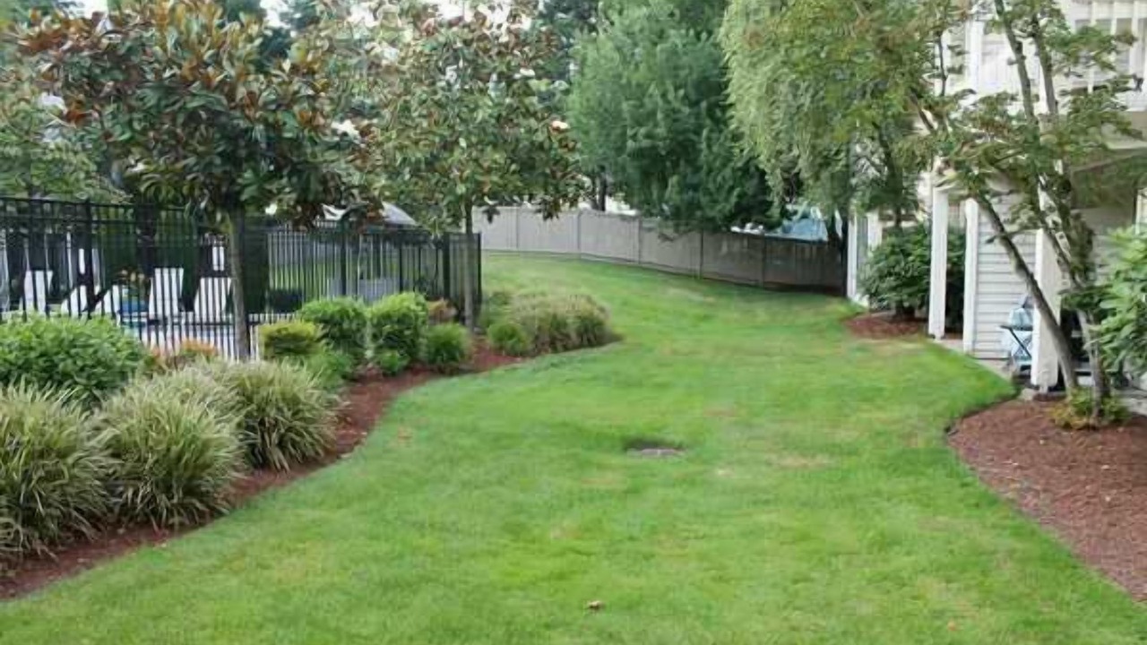 Photo of Outdoor in Issaquah