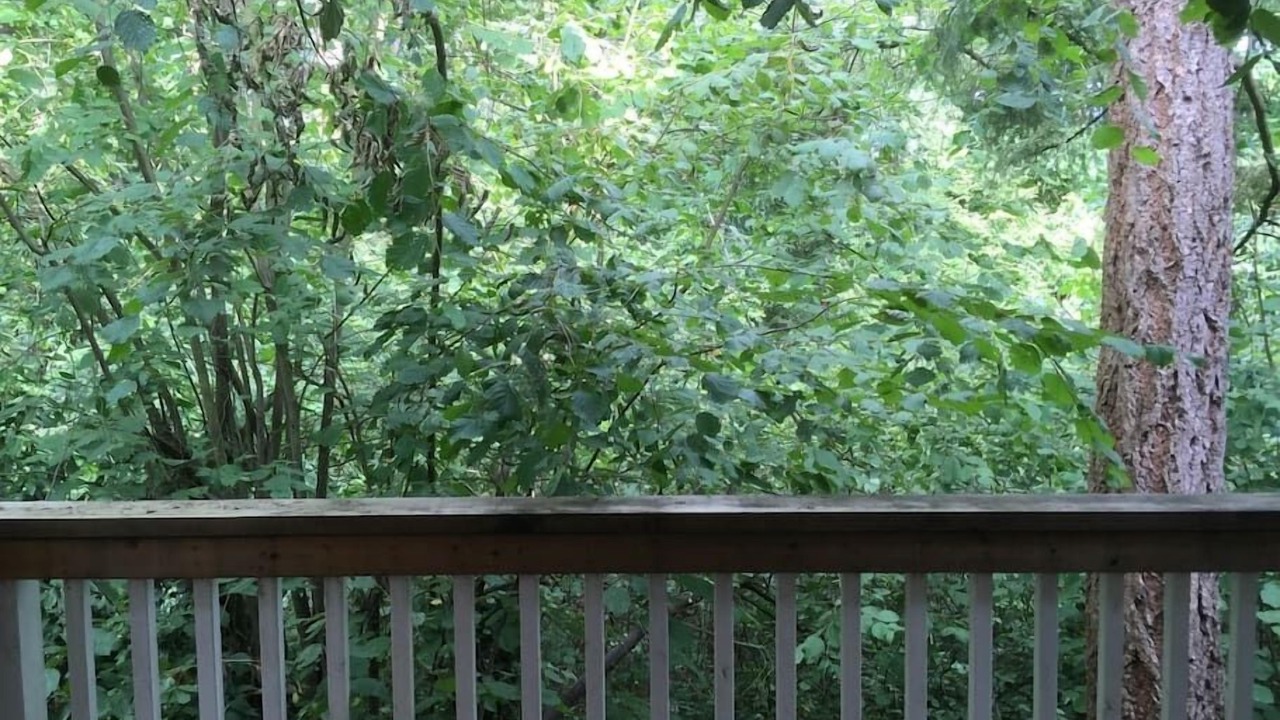 Photo of Others in Issaquah