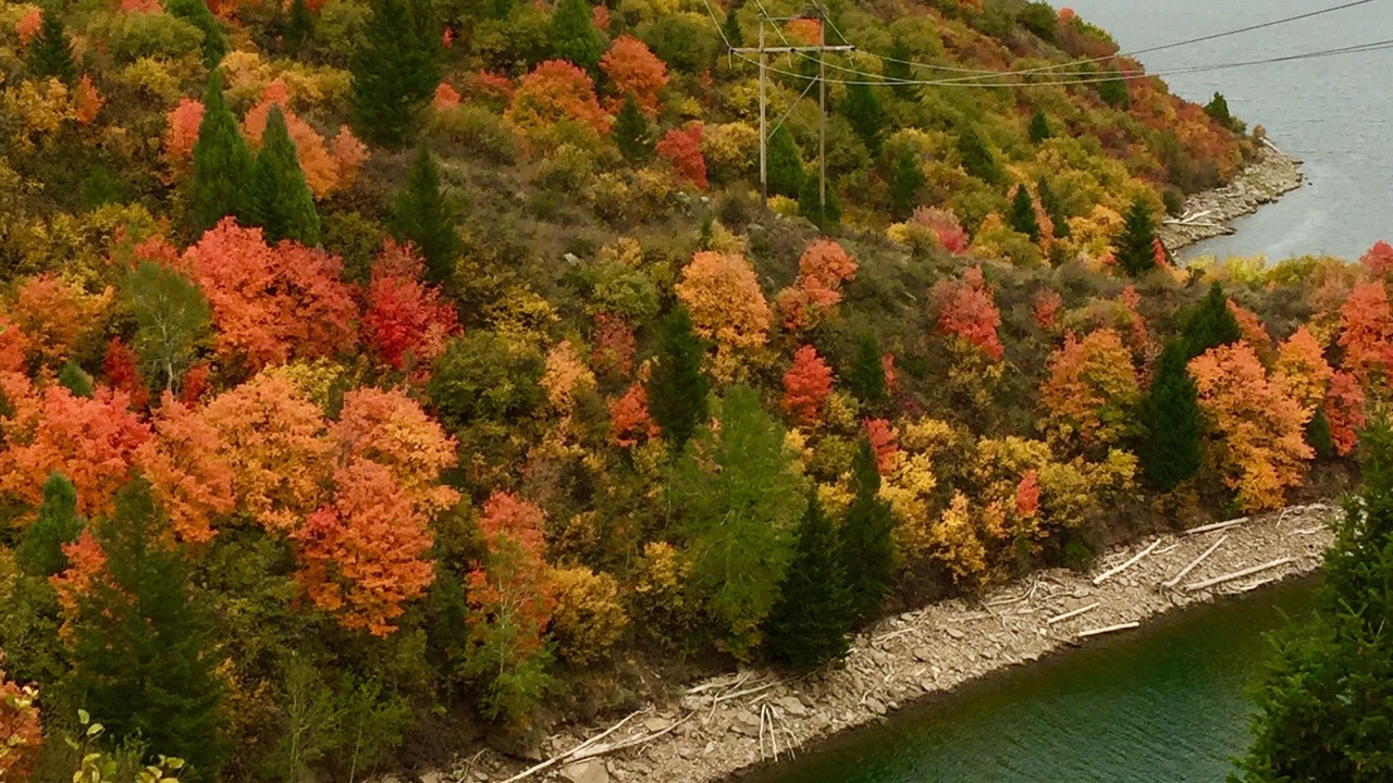 Photo of Outdoor in Swan Valley