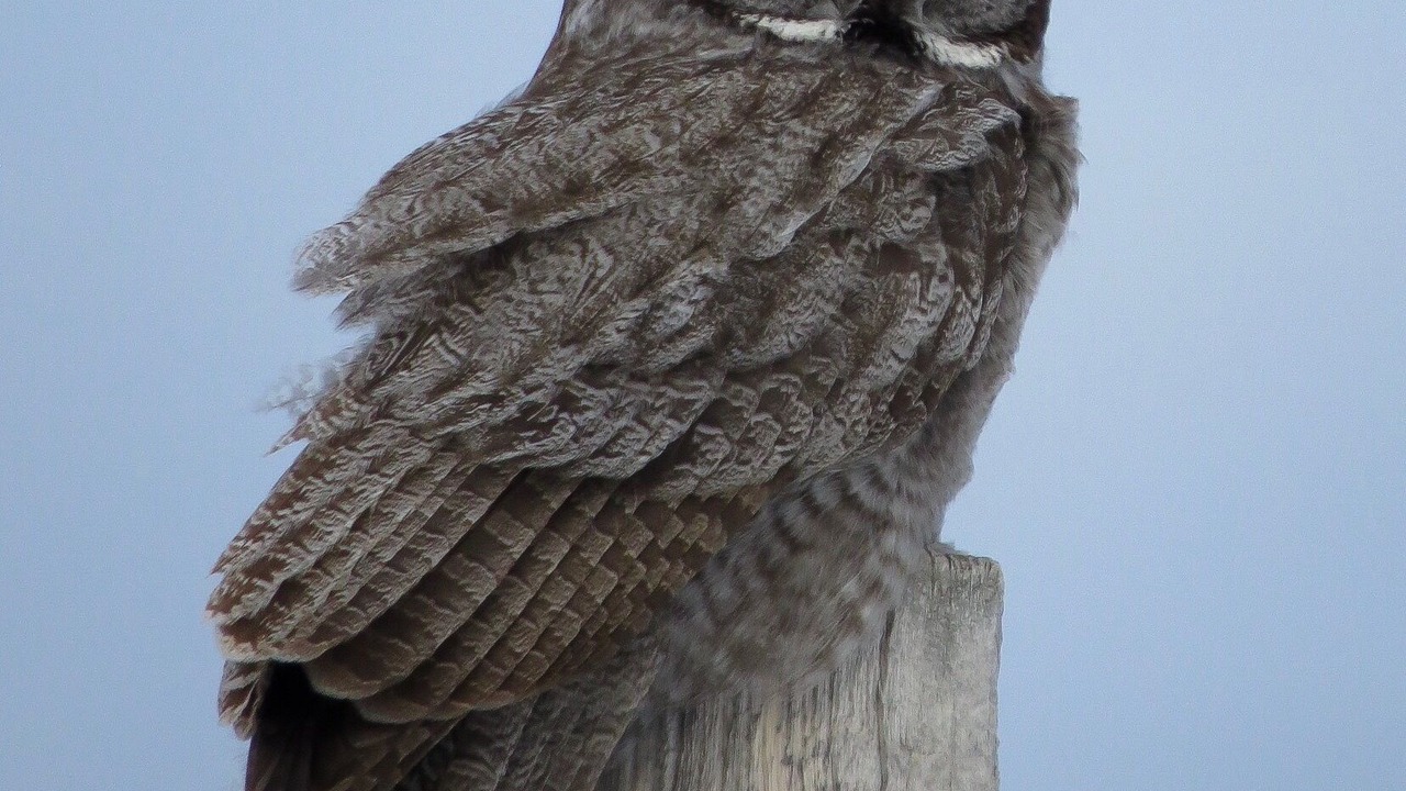 Photo of Others in Swan Valley