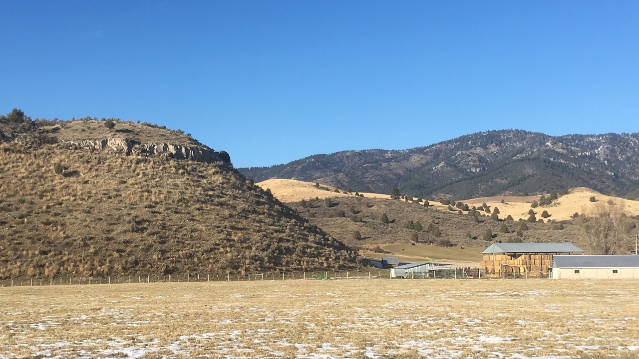 Photo of Buildings in Swan Valley