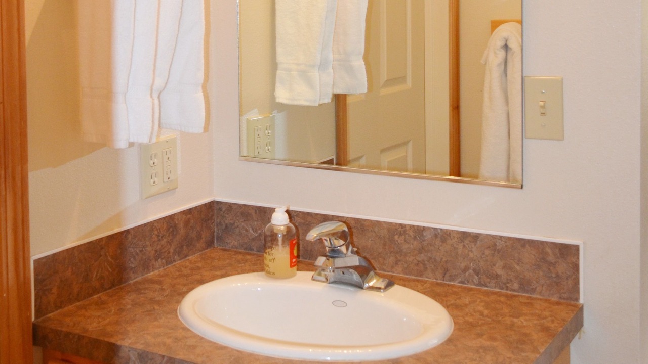 Photo of Bathroom in Swan Valley