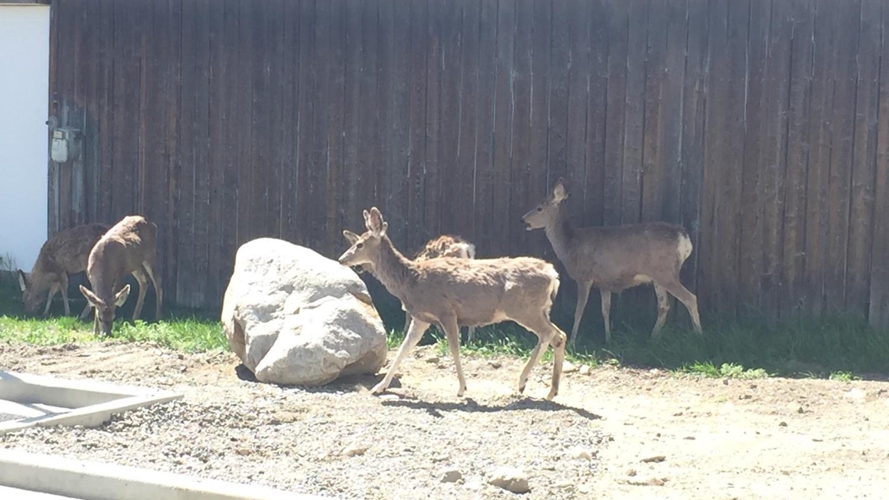 Photo of Outdoor in Gardiner