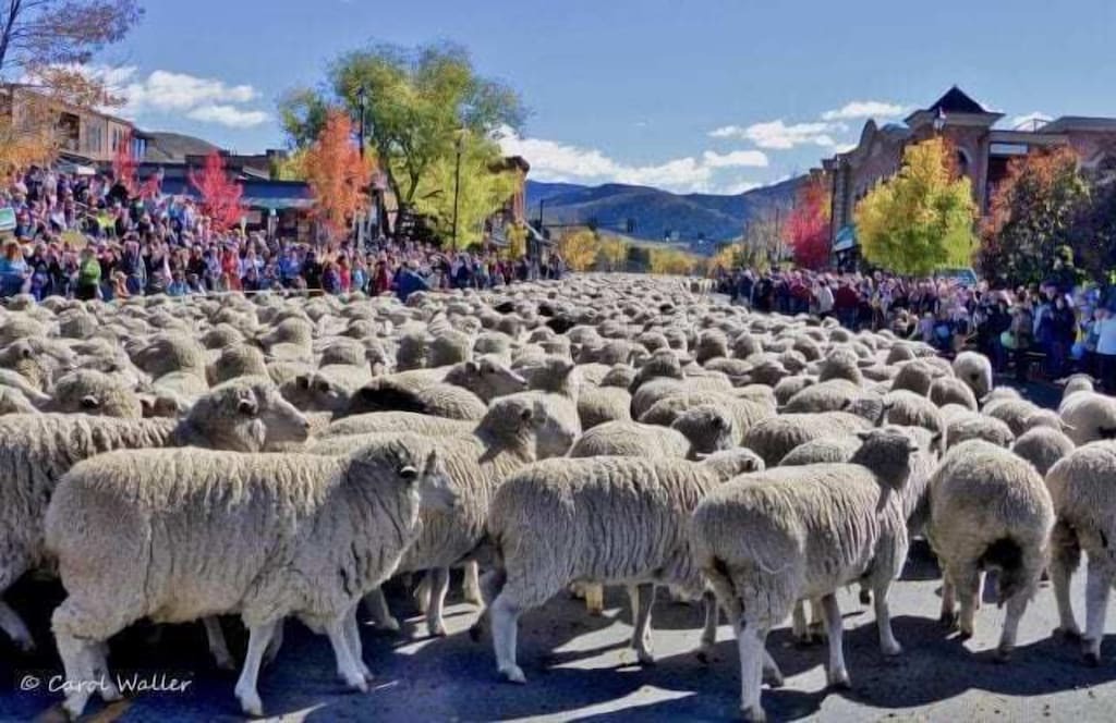 Photo of Others in Warm Springs