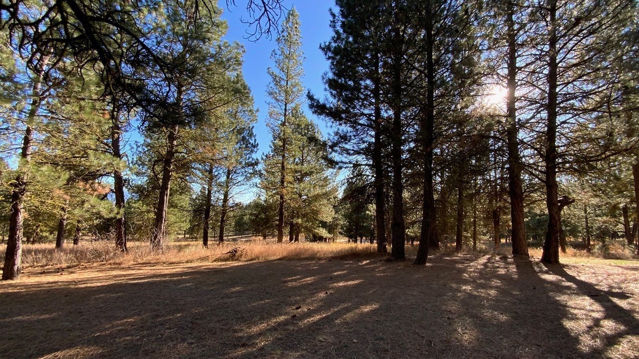 Photo of Others in Cascade