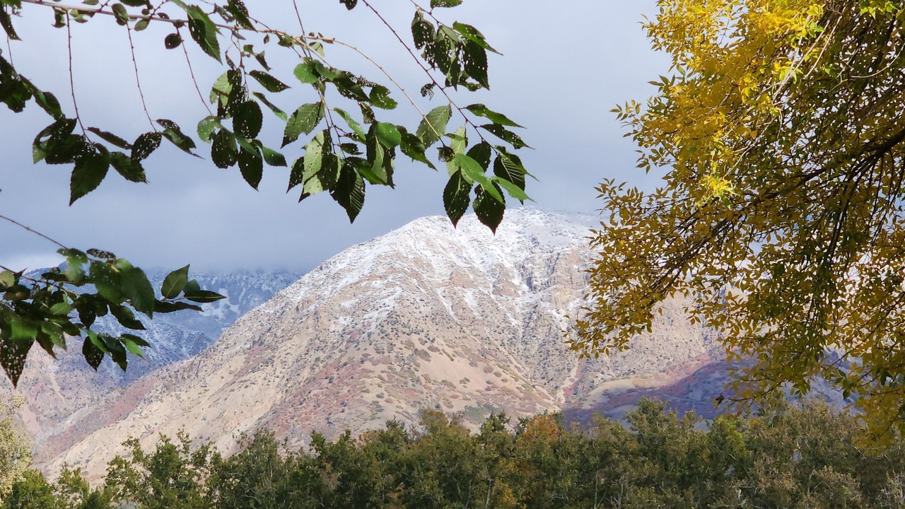 Photo of Others in South Ogden
