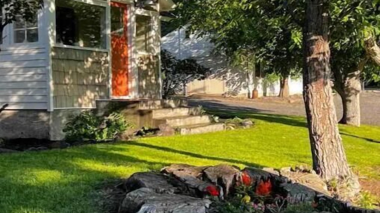 Photo of Outdoor in Bliss