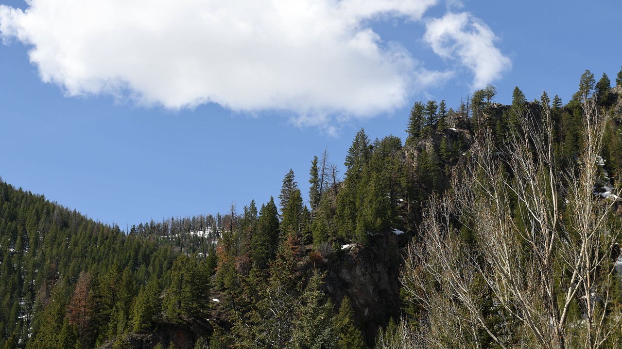 Photo of Others in Ketchum
