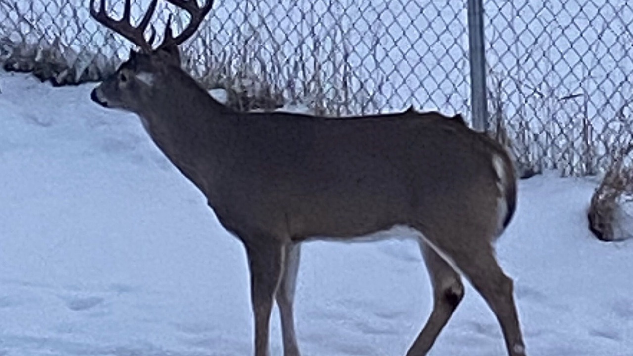 Photo of Others in Kalispell