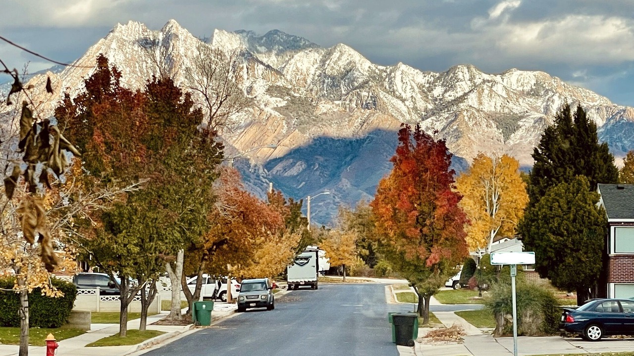 Photo of Others in Murray