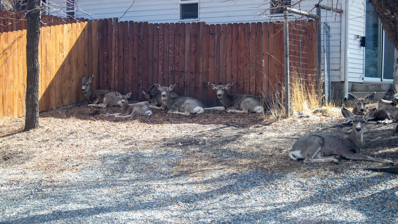 Photo of Outdoor in Gardiner