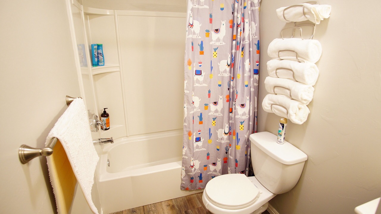 Photo of Bathroom in Pocatello