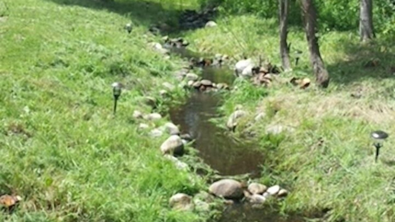 Photo of Outdoor in Red Lodge