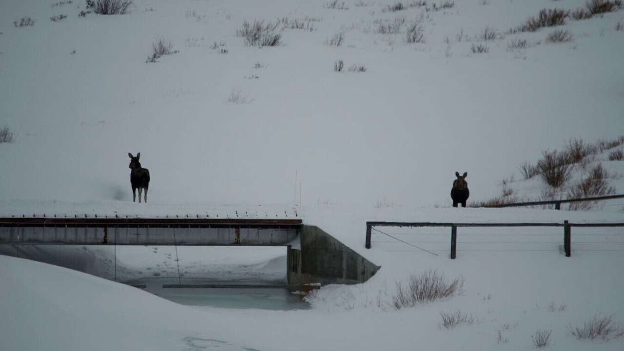 Photo of Others in Dubois