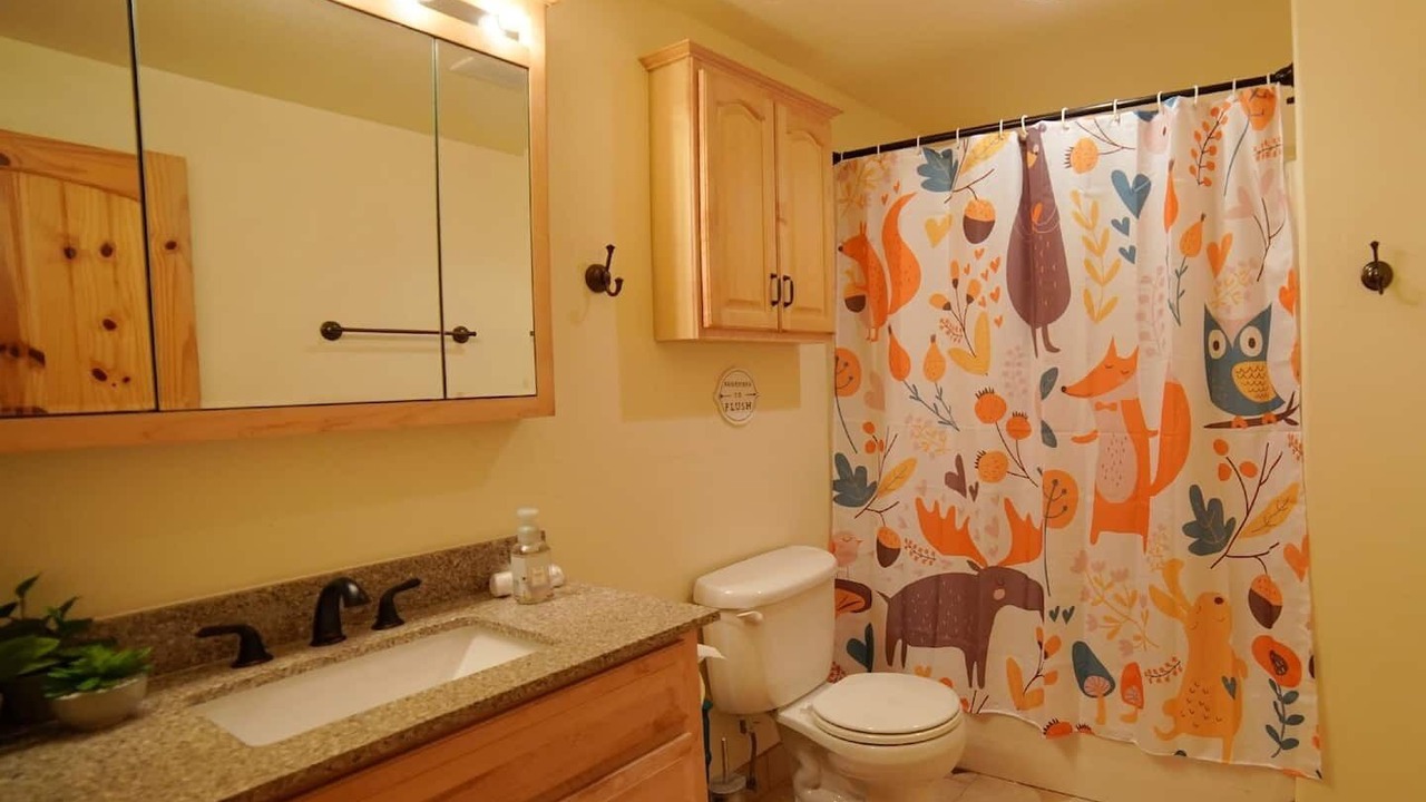 Photo of Bathroom in Driggs