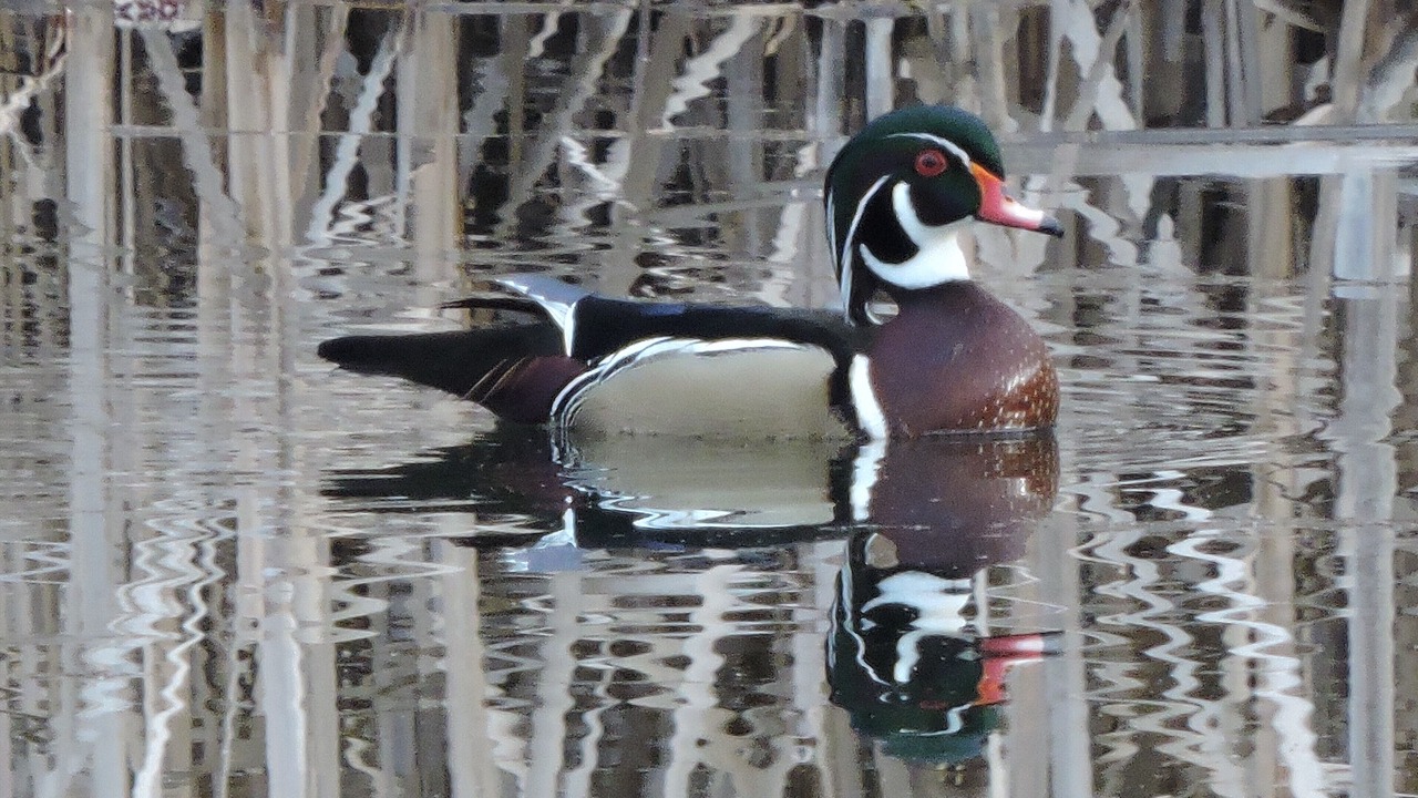 Photo of Others in Kalispell