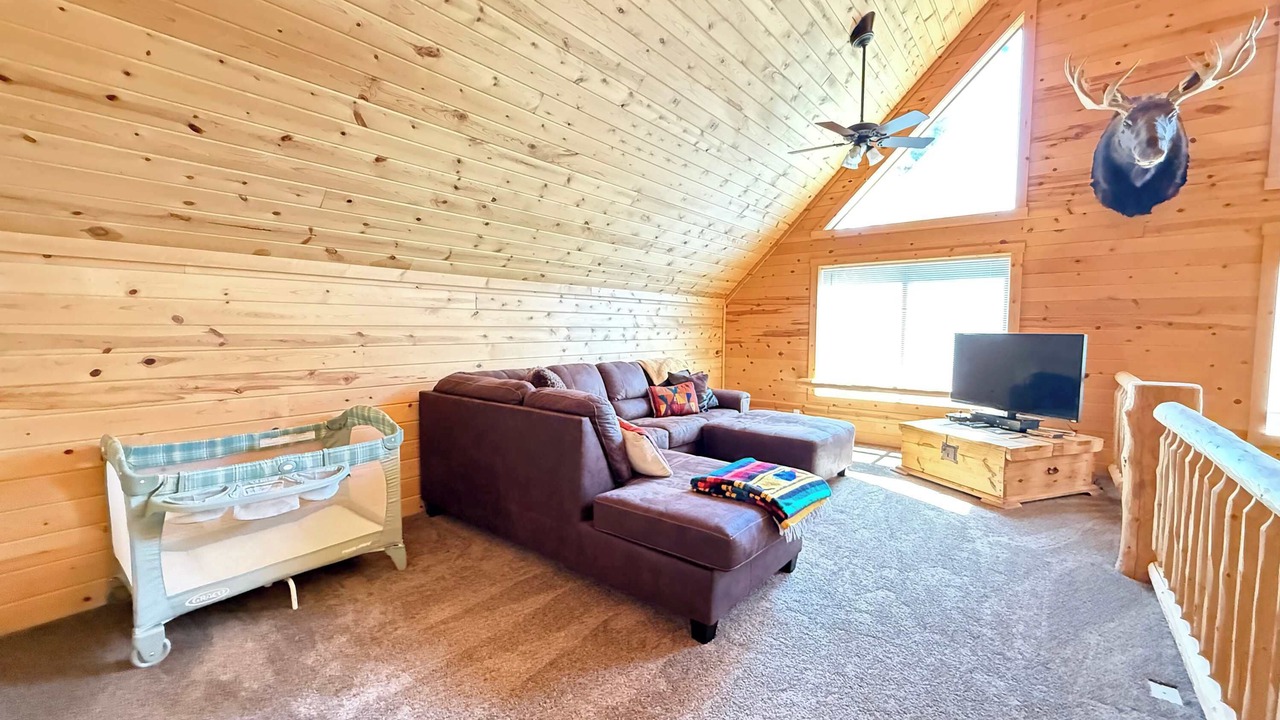 Photo of Livingroom in Last Chance