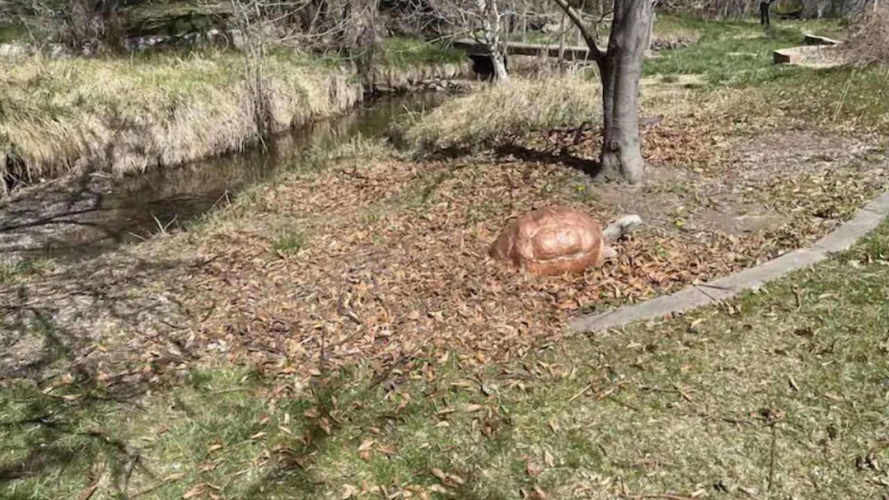Photo of Outdoor in Kaysville