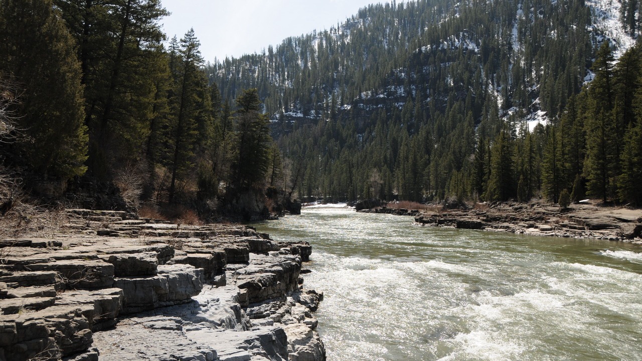 Photo of Others in Alpine Northwest