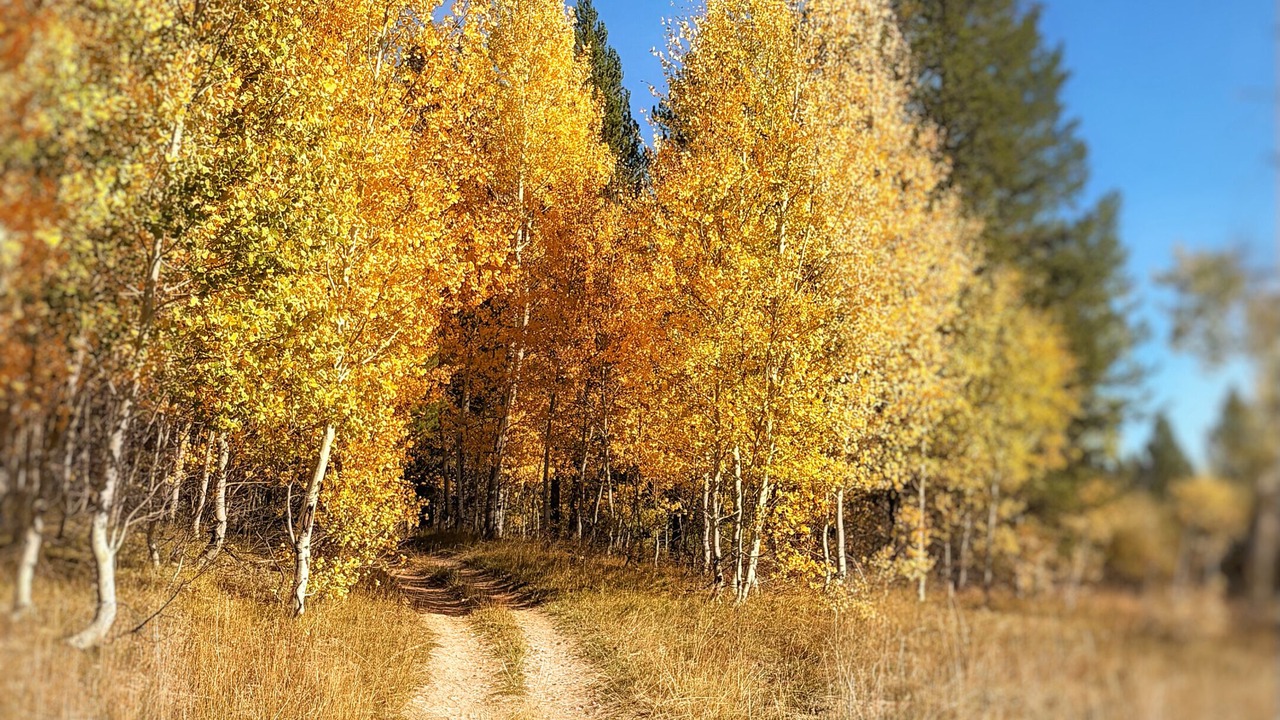 Photo of Outdoor in Last Chance