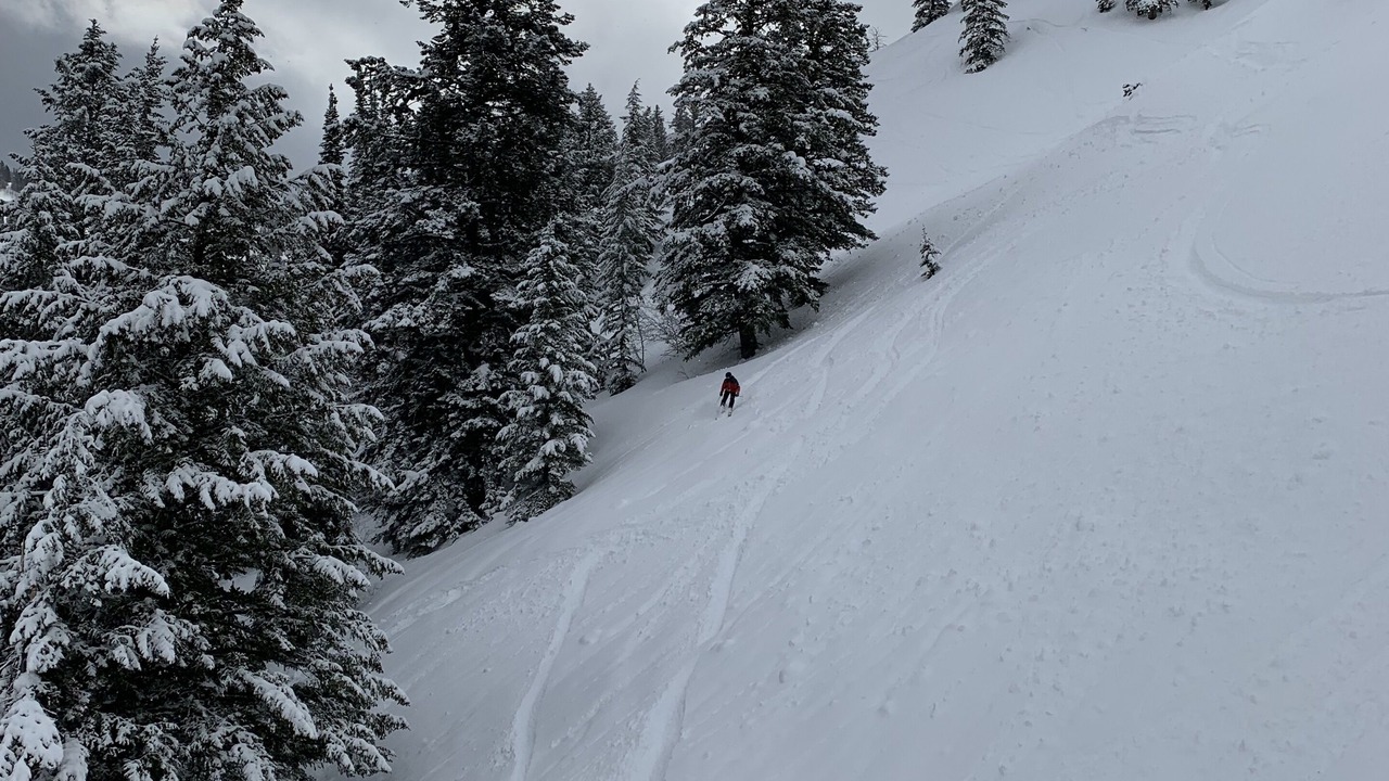Photo of Others in Wolf Creek