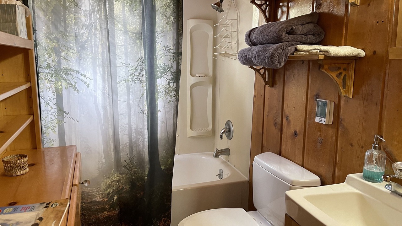 Photo of Bathroom in Last Chance