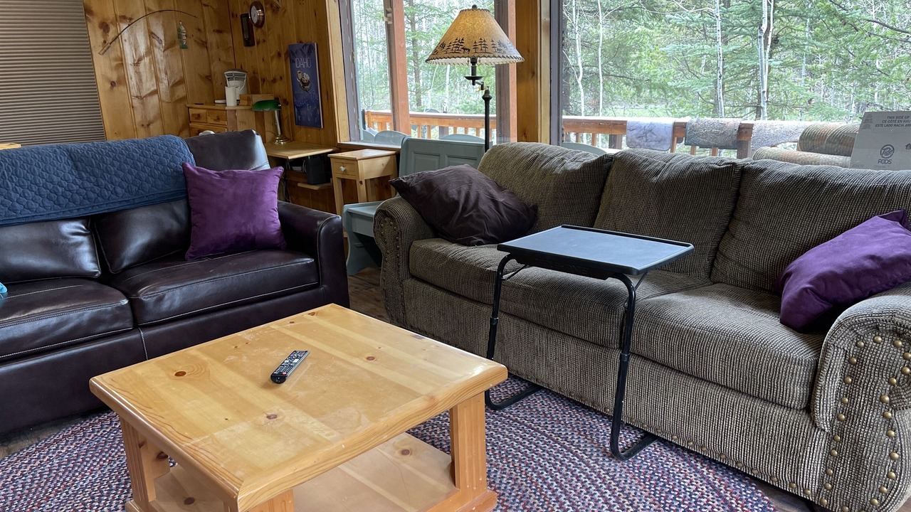 Photo of Livingroom in Last Chance