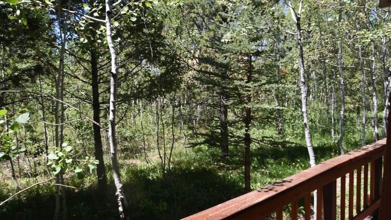 Photo of Outdoor in Last Chance