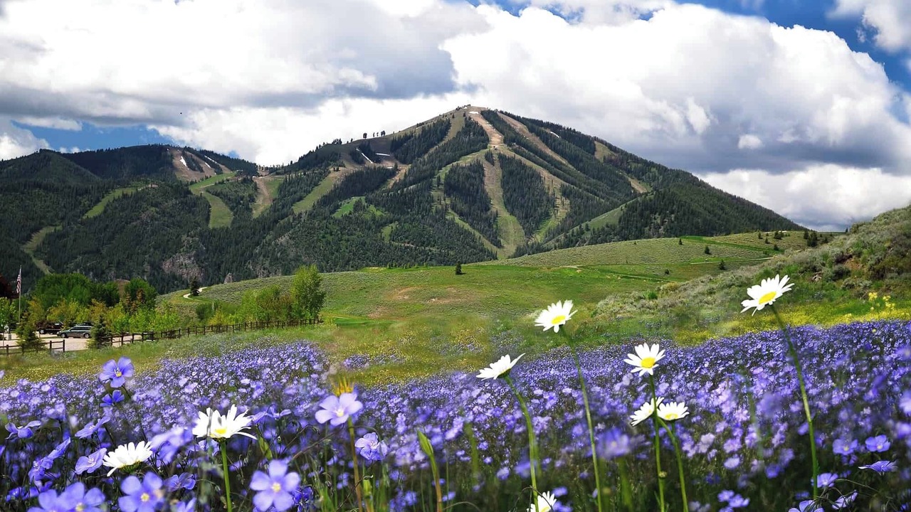 Photo of Others in Ketchum