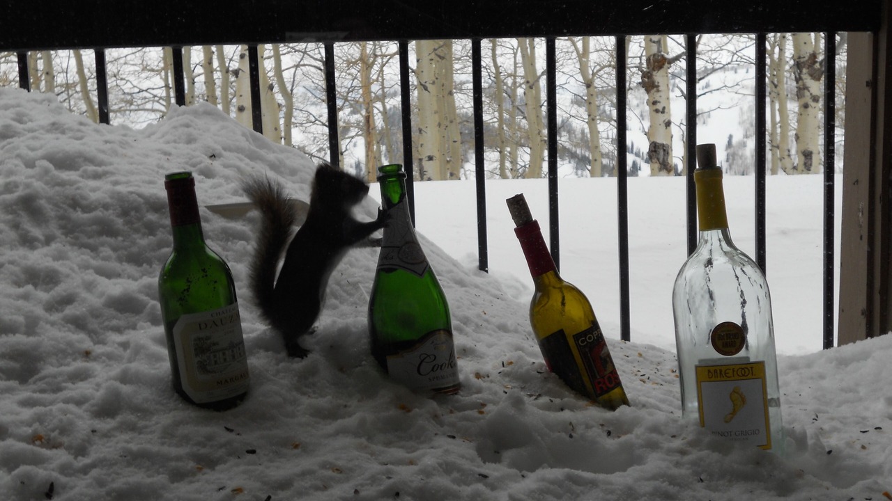 Photo of Outdoor in Powder Mountain