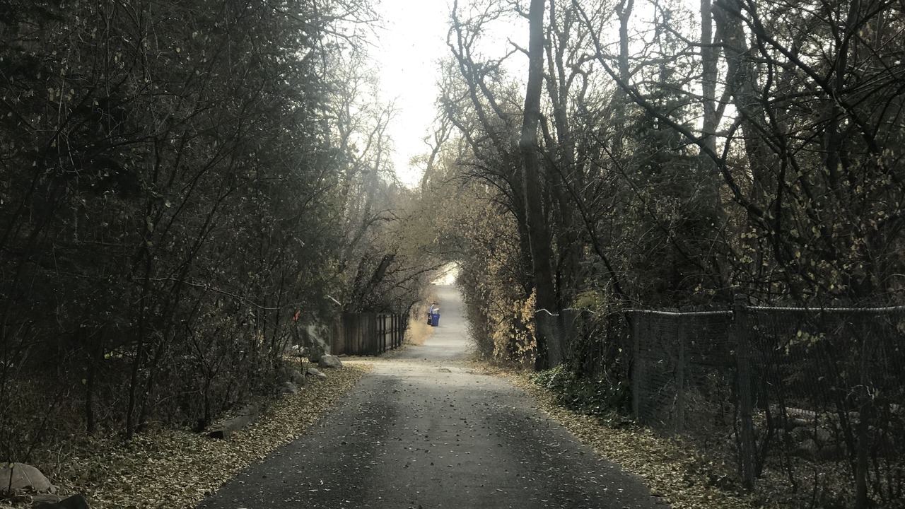 Photo of Others in Holladay