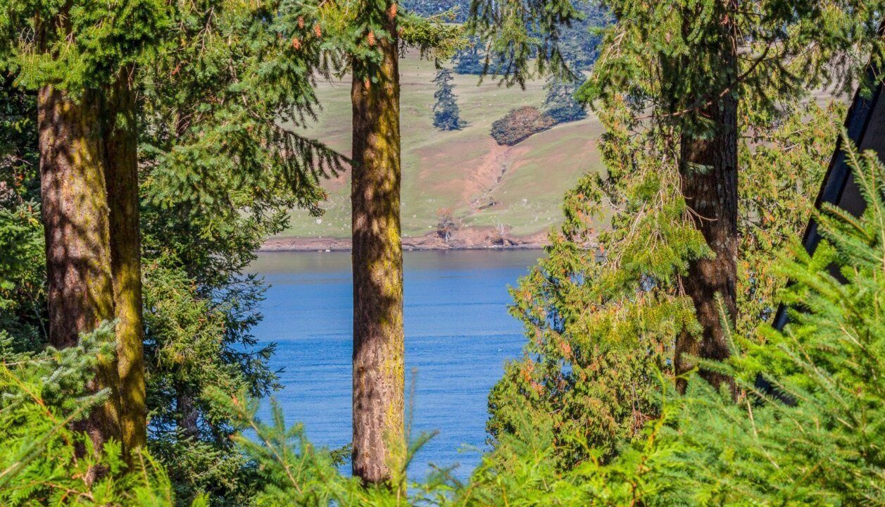 Photo of Others in Roche Harbor