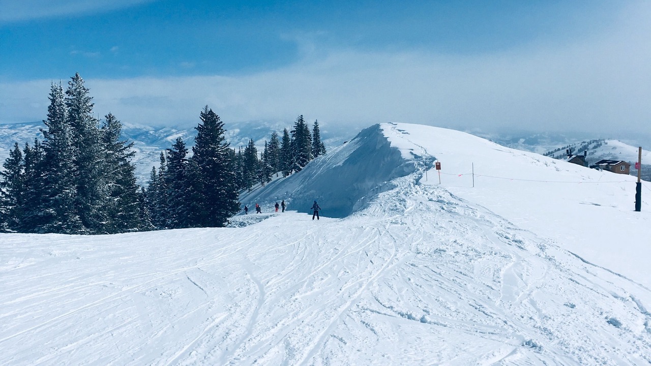 Photo of Others in North Park City