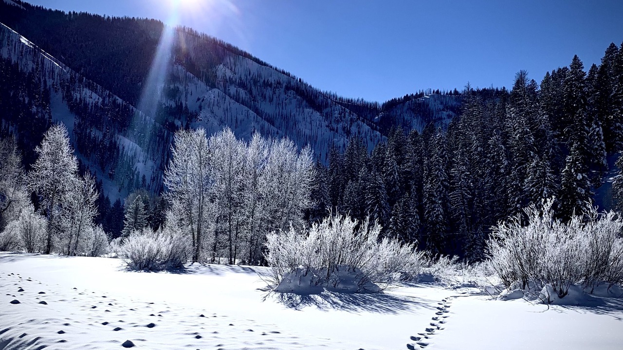 Photo of Others in Sun Valley