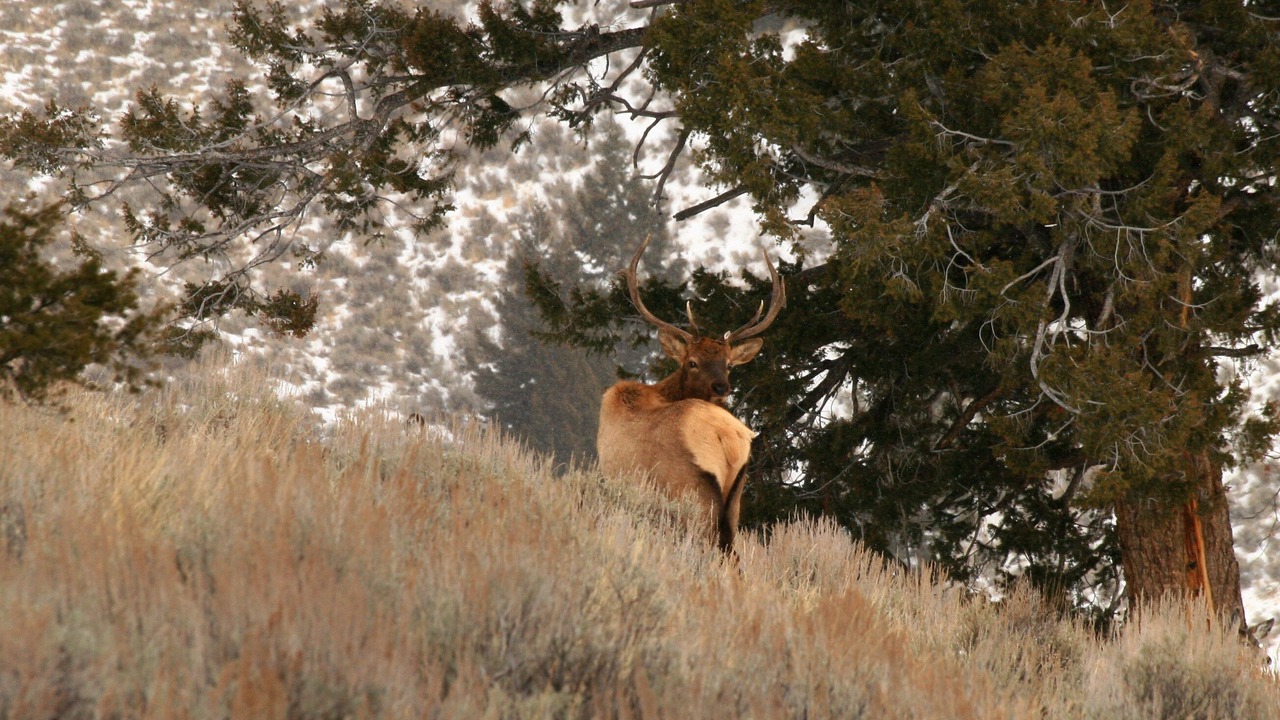 Photo of Outdoor in Idaho