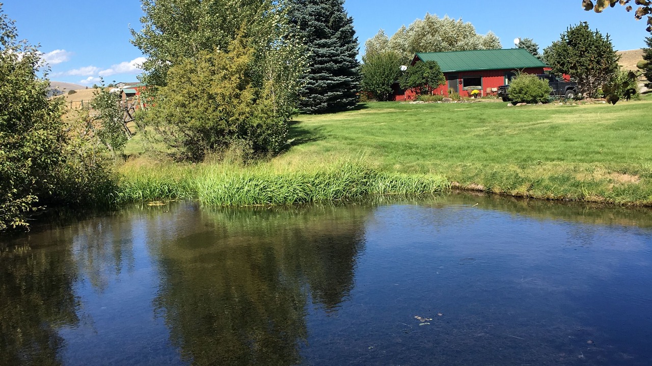 Photo of Outdoor in Livingston