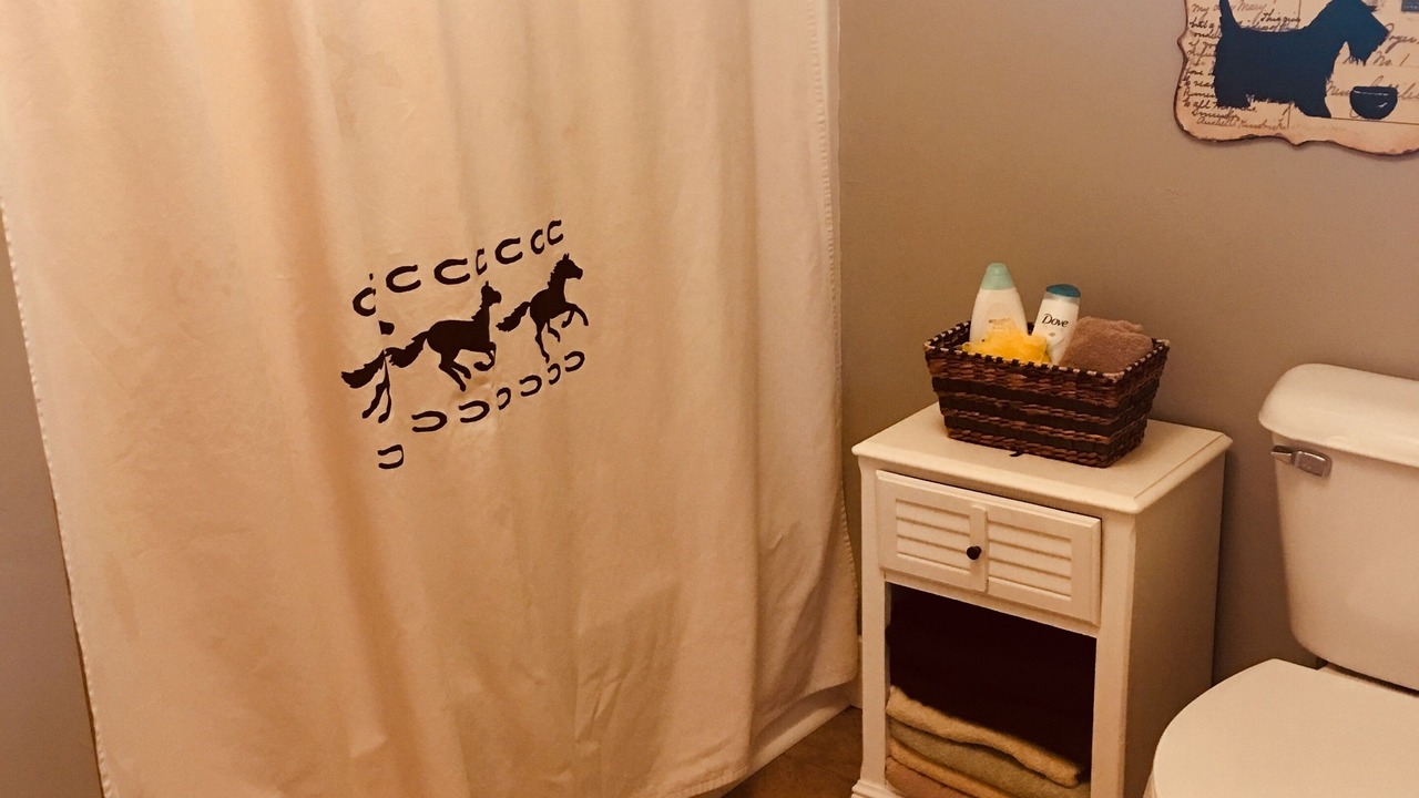 Photo of Bathroom in Livingston