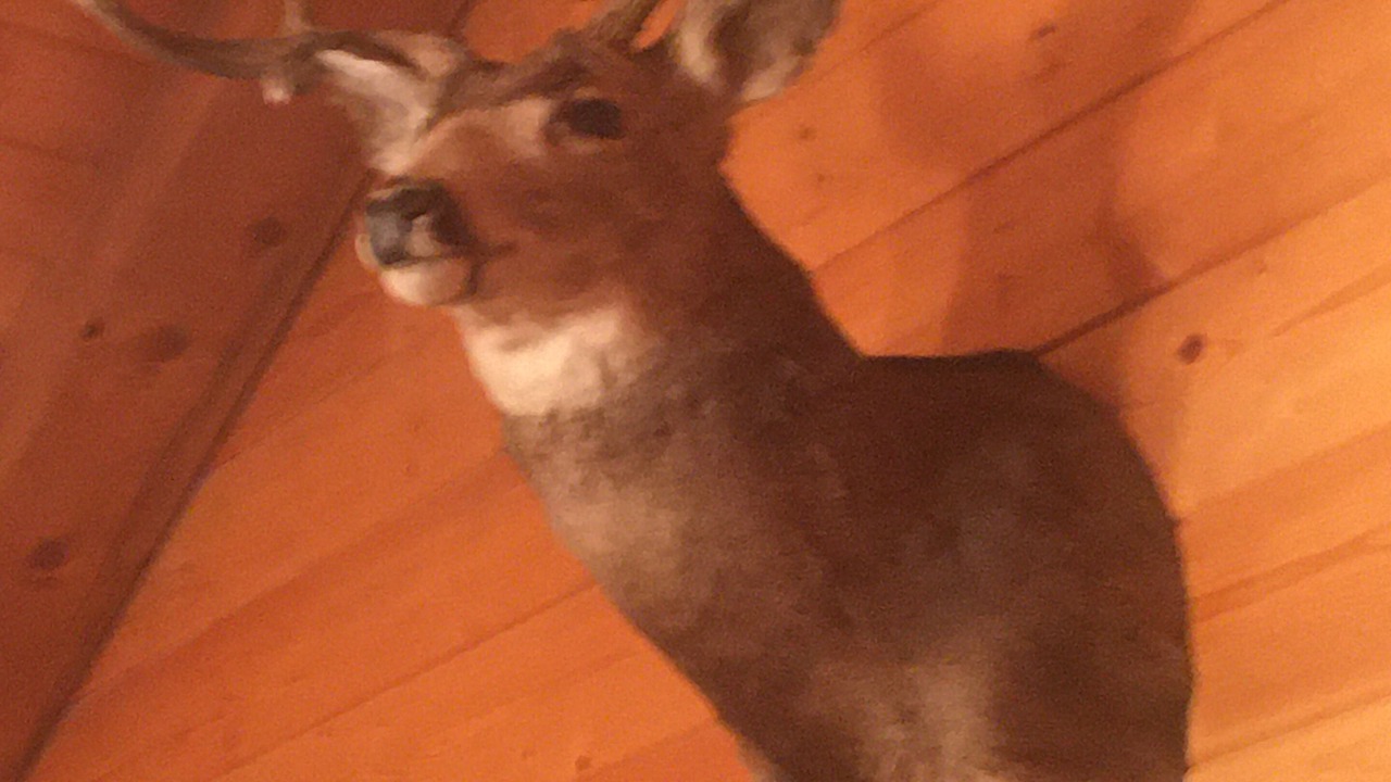 Photo of Others in Ogden