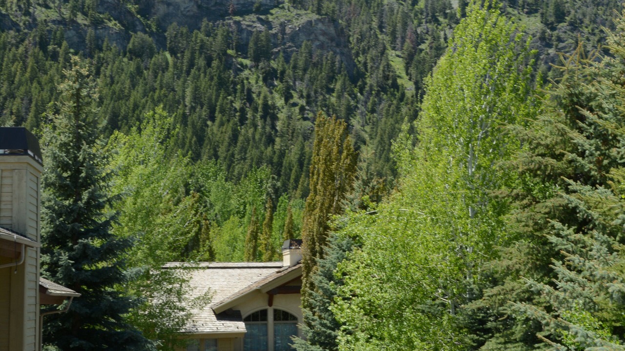 Photo of Others in Ketchum
