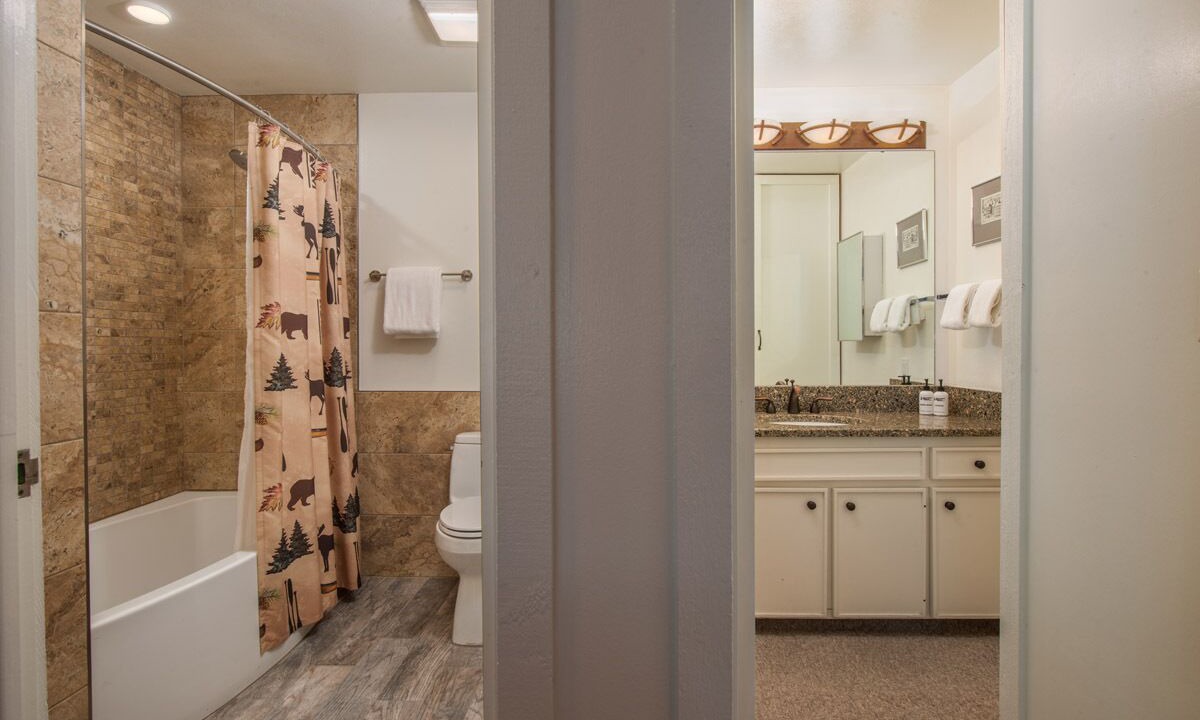 Photo of Bathroom in Teton Village