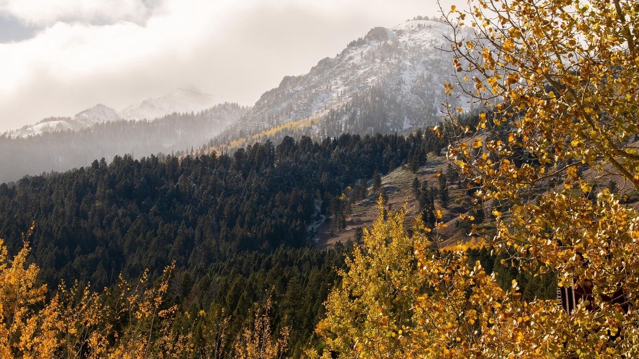 Photo of Others in Teton Village