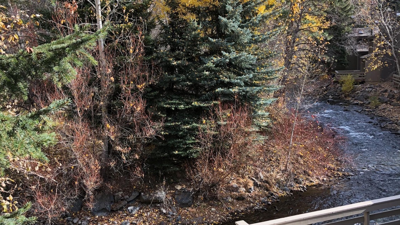 Photo of Others in Warm Springs