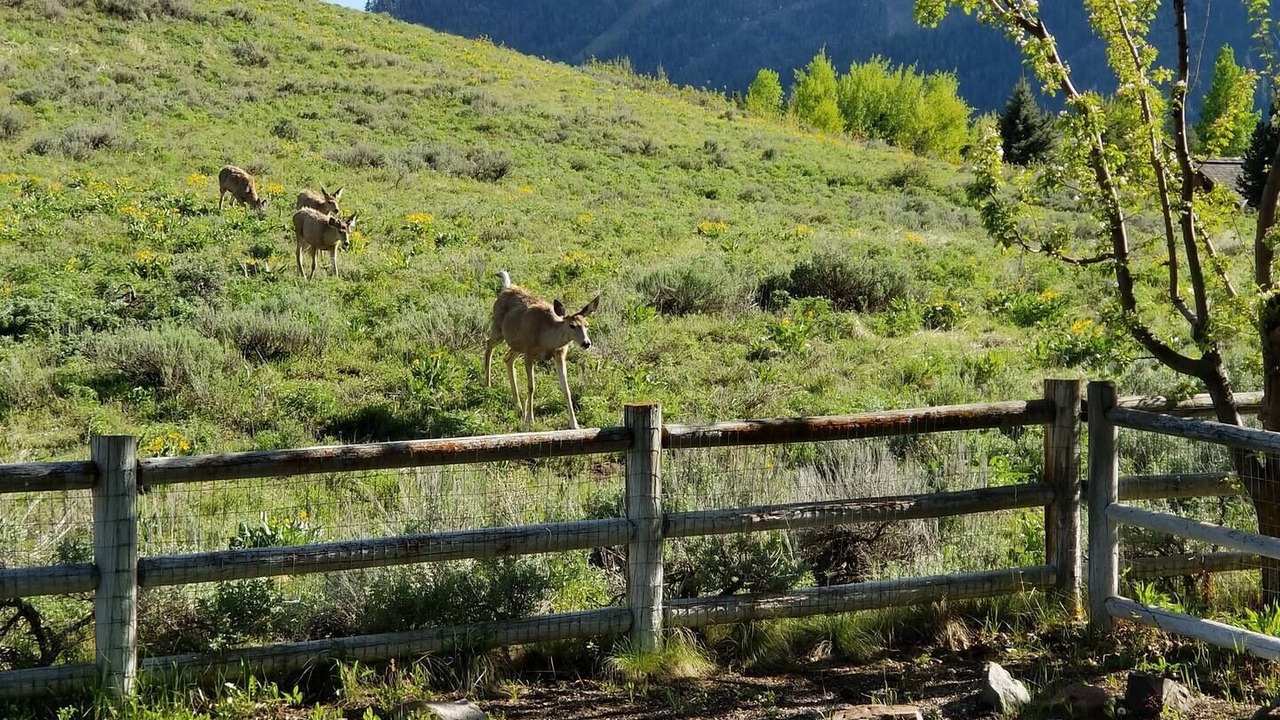 Photo of Others in Elkhorn